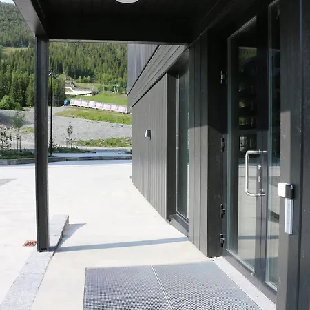 Stylish In Hemsedal, In-ski Out Apartmán *