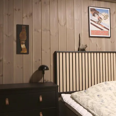 Lägenhet Stylish In Hemsedal, In-ski Out *